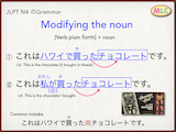 Modifying the noun