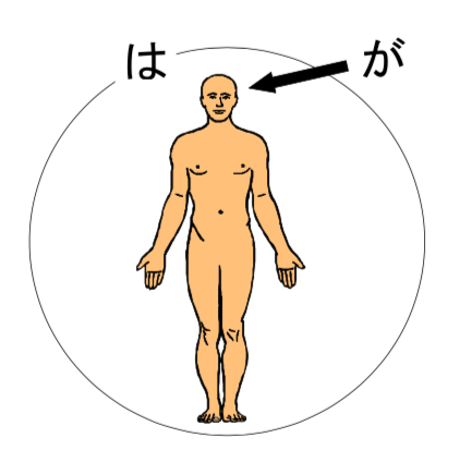 ～は～が　「は」= topic, 「が」= specify